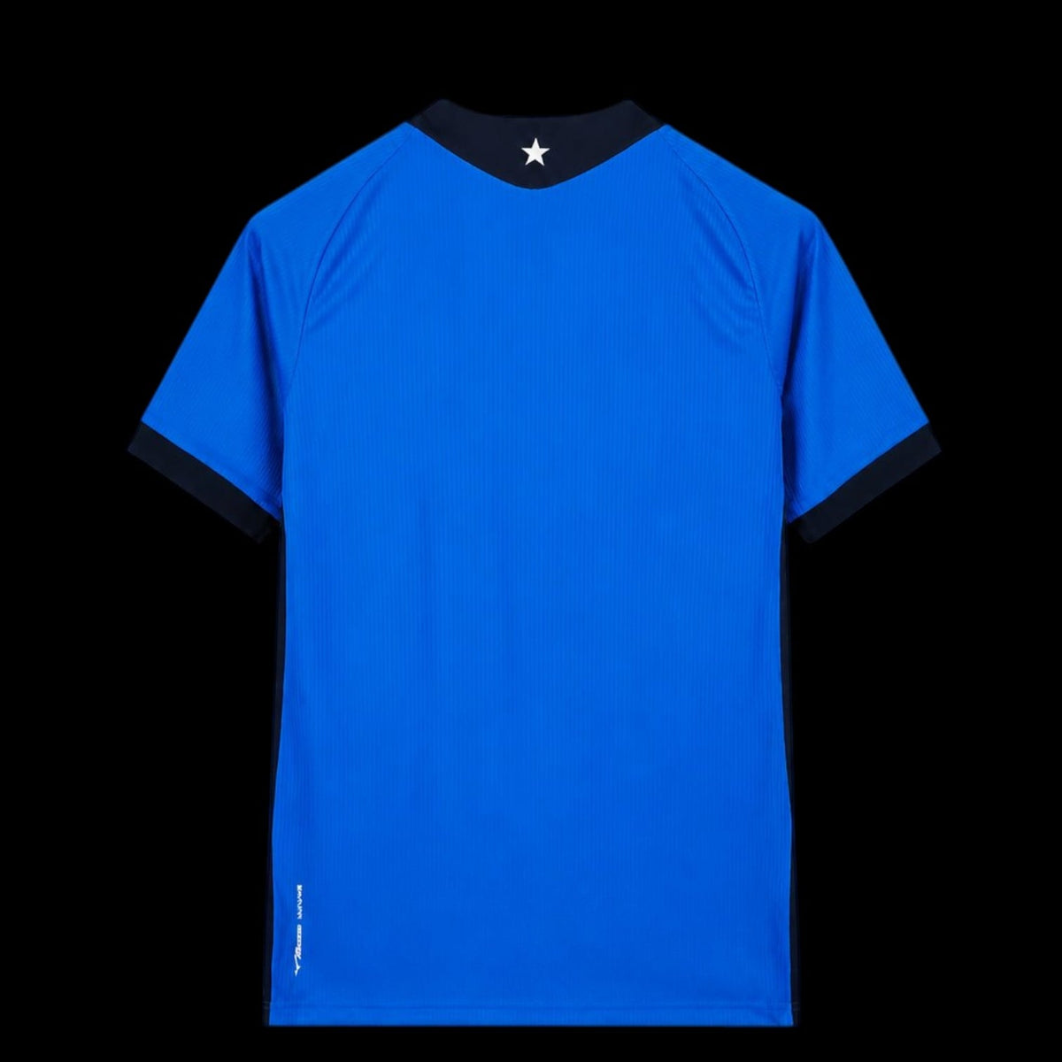 Botafogo Maillot Gardien Blue 26/27