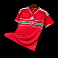 Pays Galles Maillot Domicile 26/27