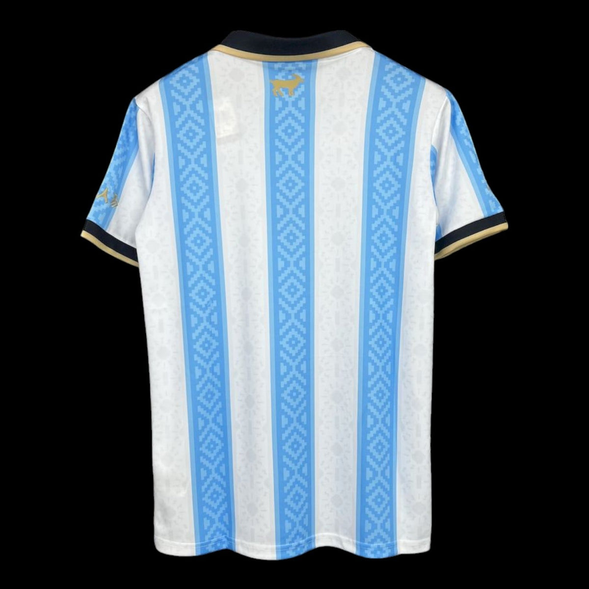 Argentine Maillot Concept