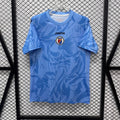 Haiti Maillot Gardien 2026