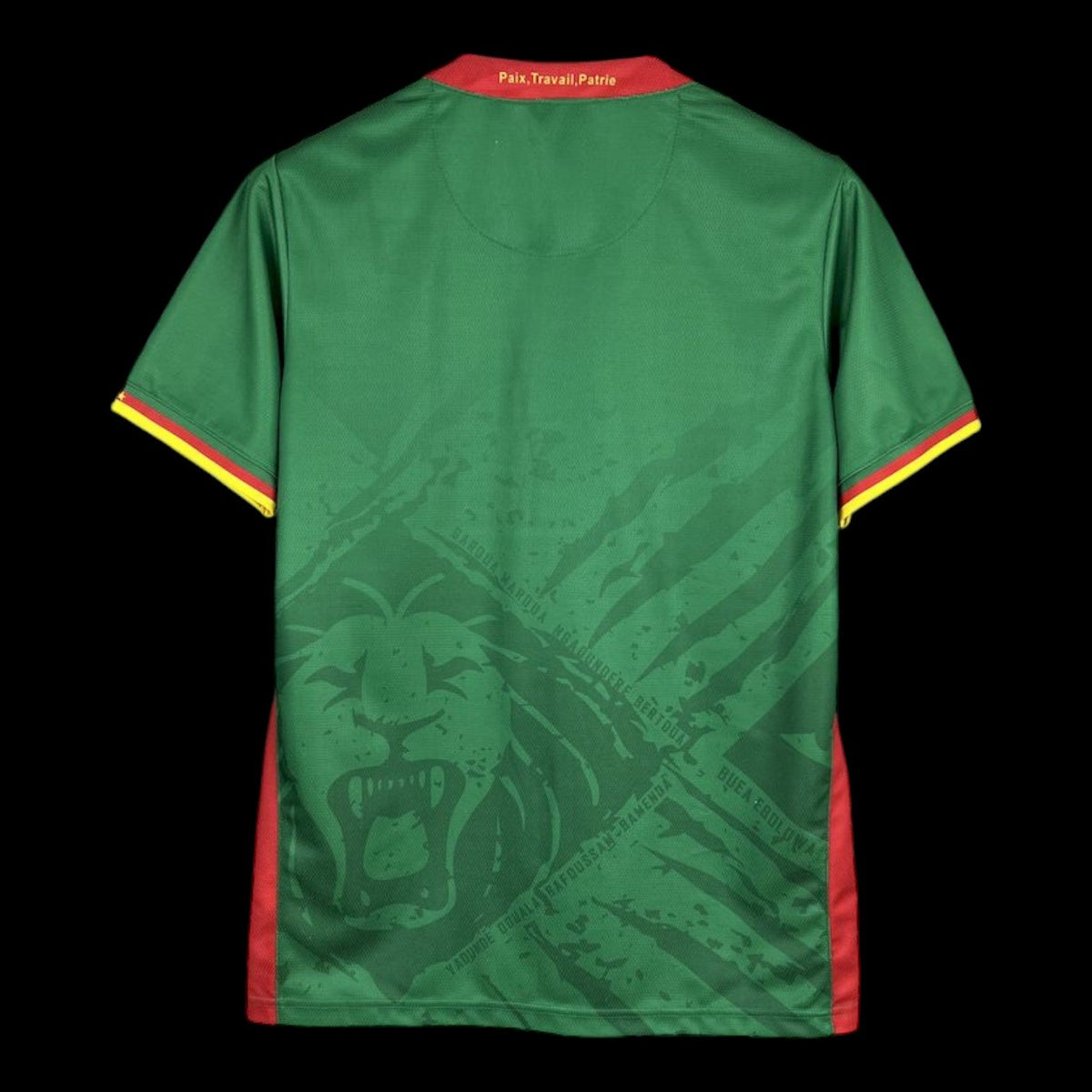 Cameroun Maillot Domicile 25/26 (II)