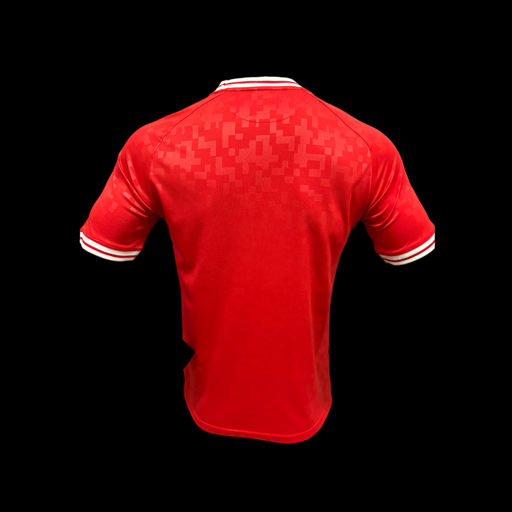 Danemark Maillot Domicile 24/25 – Version Player