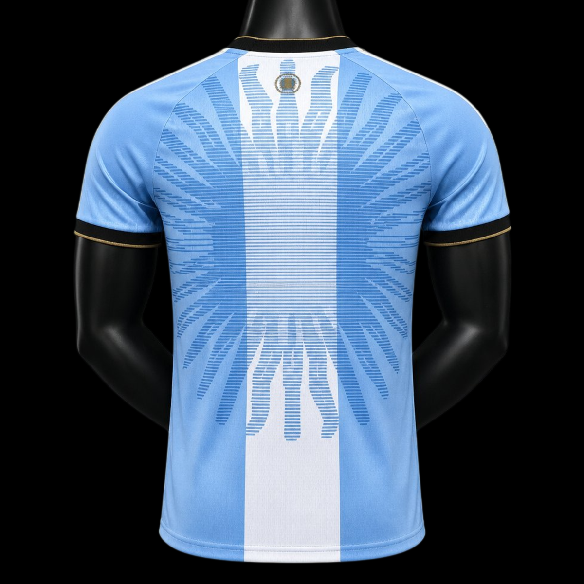 Argentine Maillot Commémoratif Adieu Messi 26/27 – Version Player