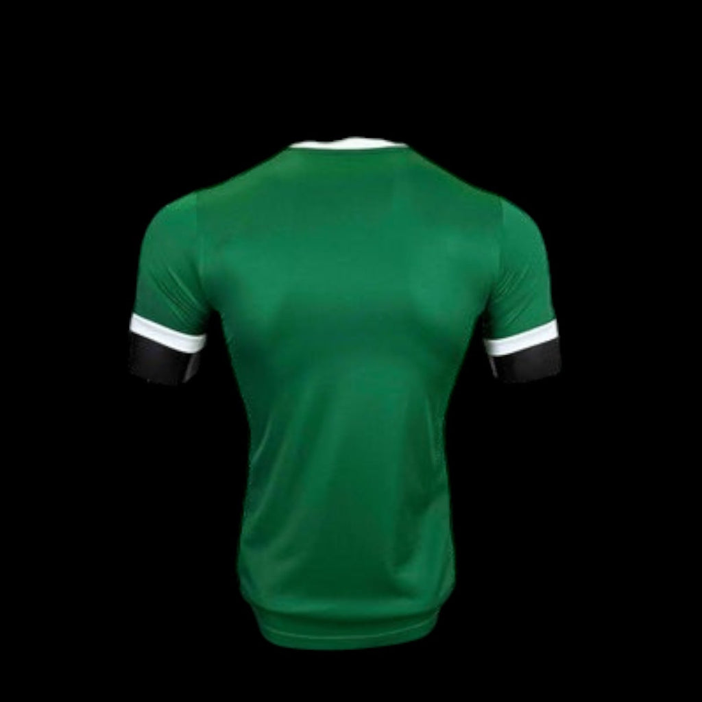 Palmeiras Maillot Domicile 25/26 – Version Player
